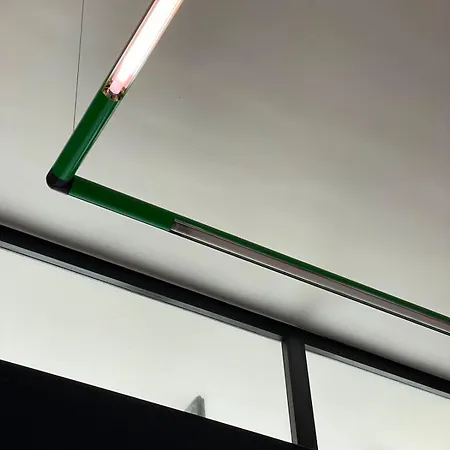 Griffo102 Bologna